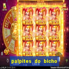 palpites do bicho no celular